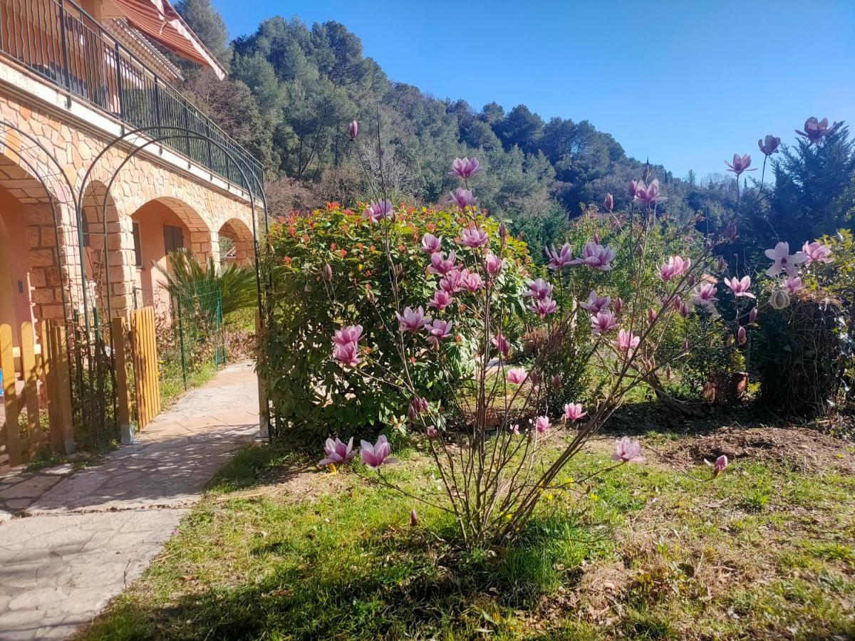 Un Brin De Paille Vila Cagnes-sur-Mer Exterior foto