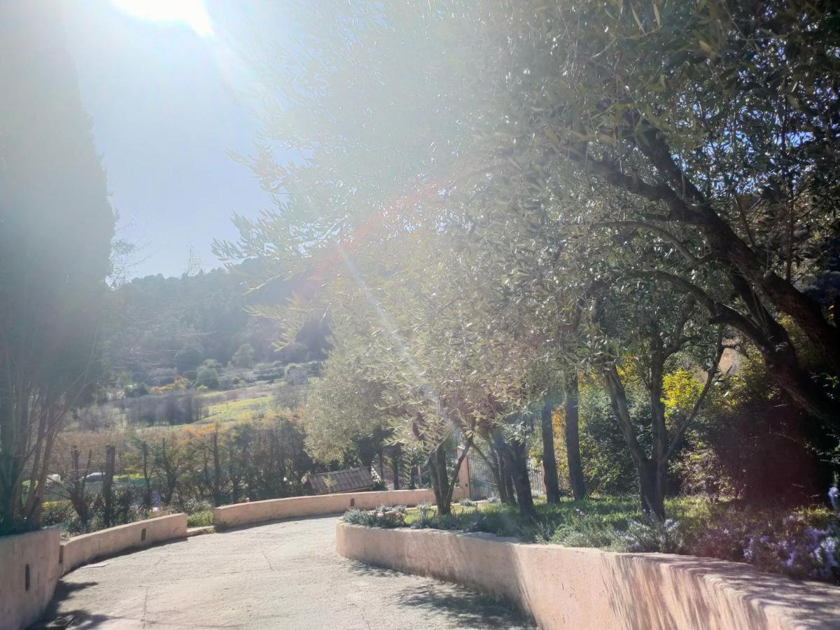 Un Brin De Paille Vila Cagnes-sur-Mer Exterior foto