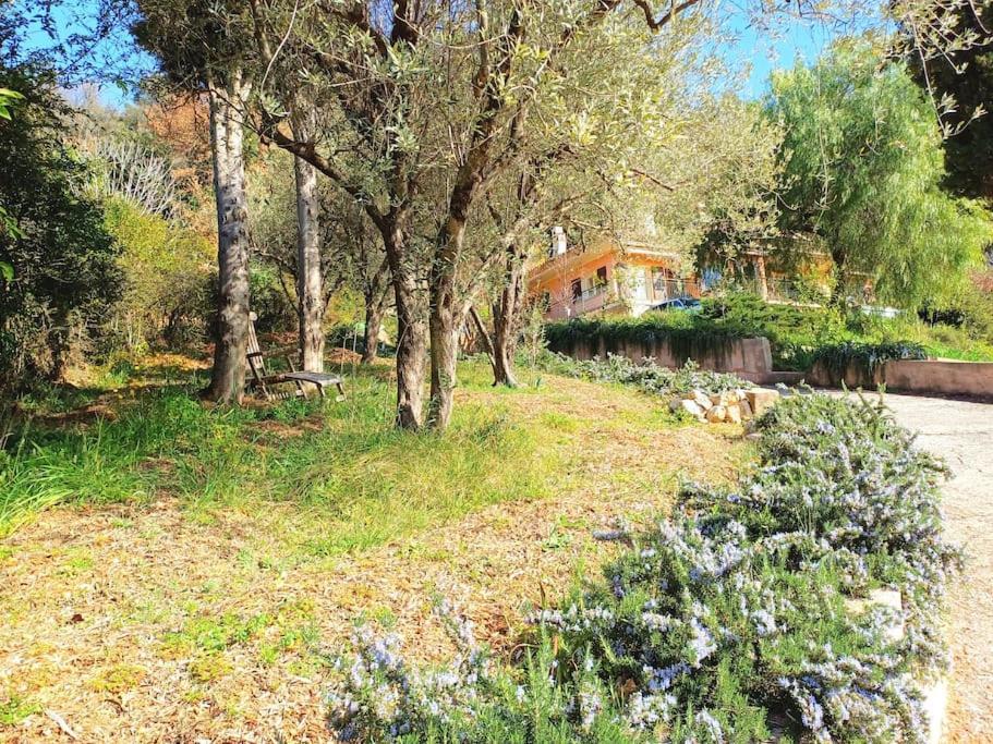 Un Brin De Paille Vila Cagnes-sur-Mer Exterior foto
