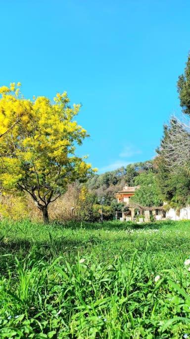 Un Brin De Paille Vila Cagnes-sur-Mer Quarto foto